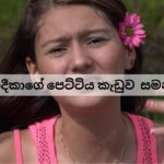 නදීකාගේ පෙට්ටිය කැඩුවා සමන්