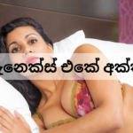 ඇනෙක්ස් එකේ අක්කි sinhala wal katha