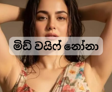 අලුත් වල් කතා අලුත් සිංහල වැල කතා
