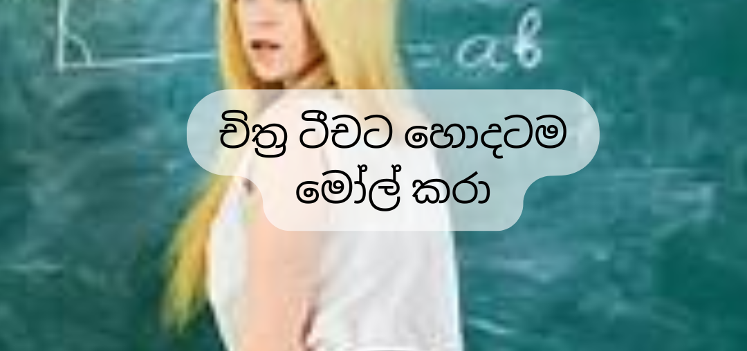 ART Teacher Sinhala Wela Kathawa