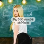 ART Teacher Sinhala Wela Kathawa