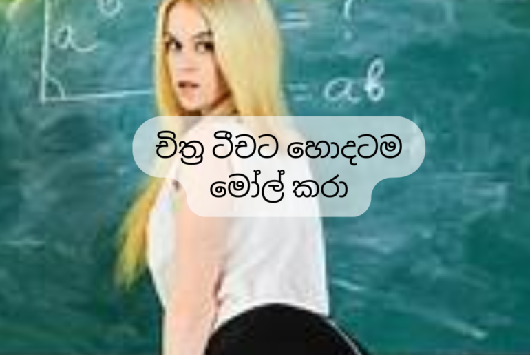 ART Teacher Sinhala Wela Kathawa