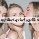 මැඩම්ගේ ආප්පේ ලෙස්බියන්