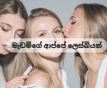 මැඩම්ගේ ආප්පේ ලෙස්බියන්