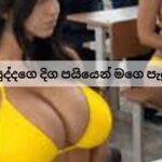 සුද්දගෙ දිග පයියෙන් මගෙ පැලුවා-2 යාලුවටත් හිකුවා