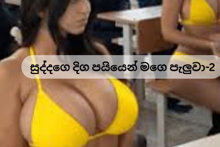 සුද්දගෙ දිග පයියෙන් මගෙ පැලුවා-2 යාලුවටත් හිකුවා