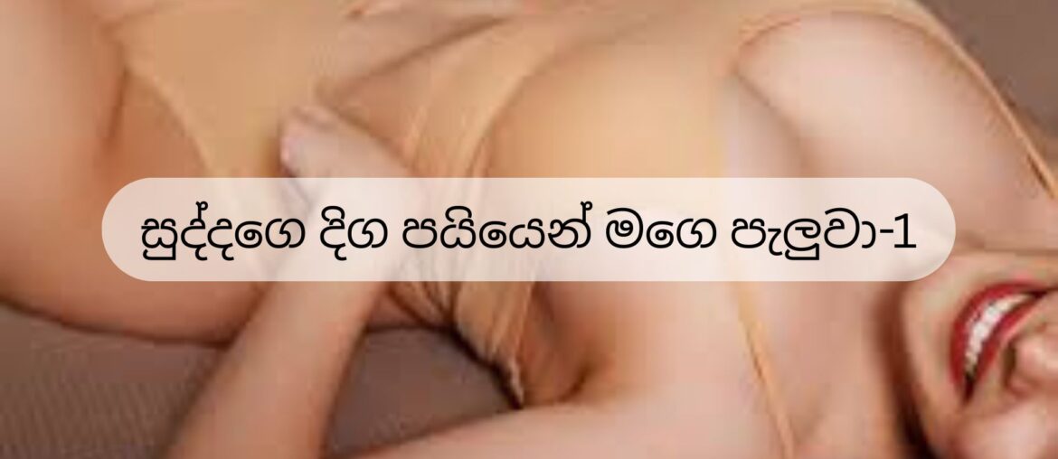 සුද්දගෙ දිග පයියෙන් මගෙ පැලුවා